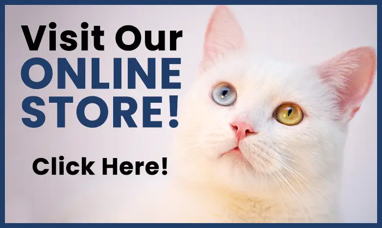 Visit Our Online Store. Click Here!