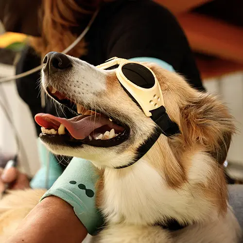 Laser Therapy
